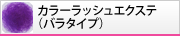 �J���[���b�V���G�N�X�e�@�o���^�C�v