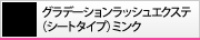 �O���f�[�V�������b�V���G�N�X�e�i�~���N�j�V�[�g�^�C�v