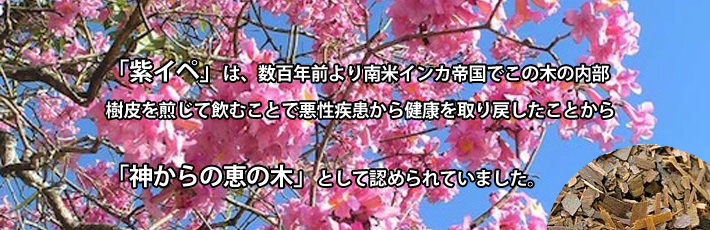 サプリメント恵